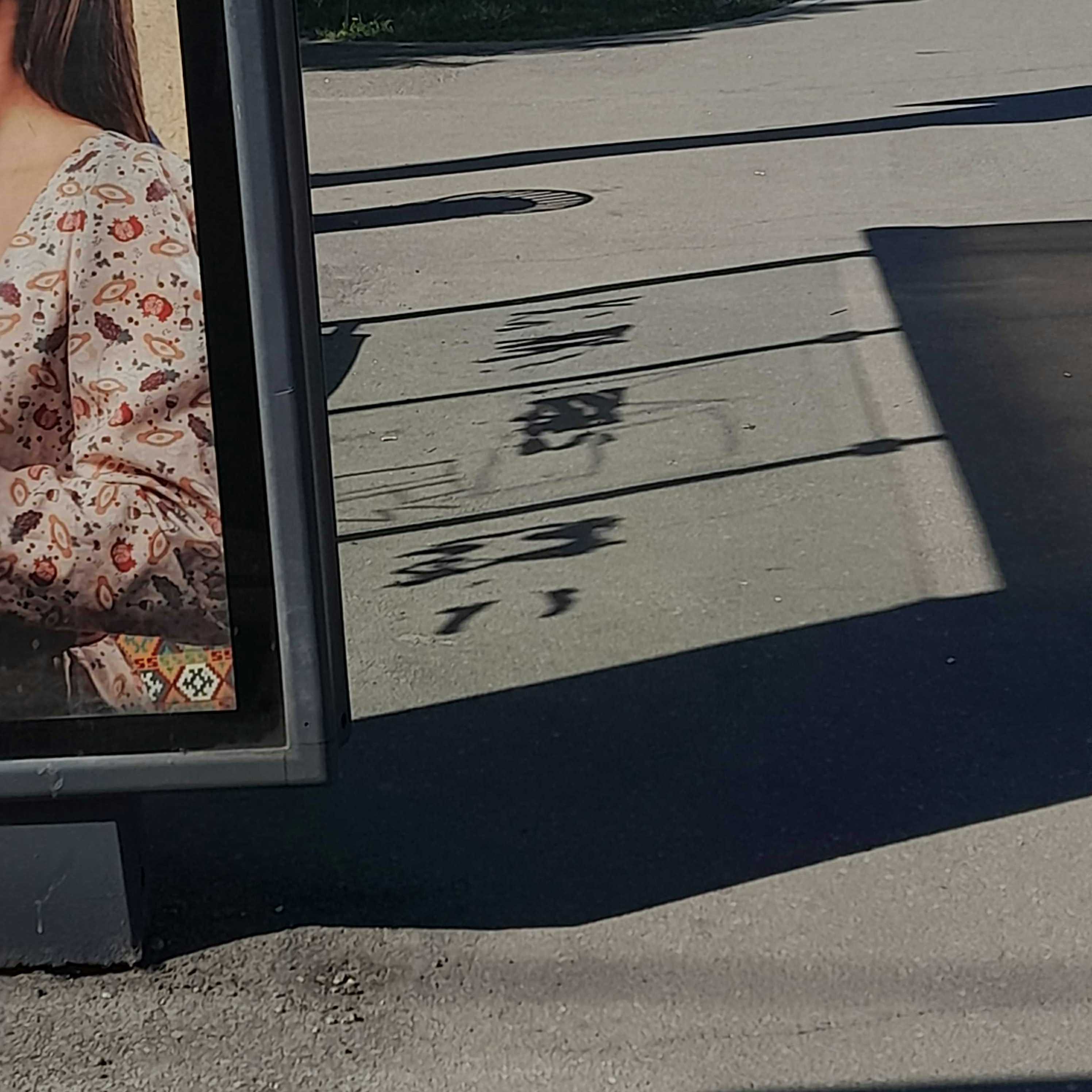 shadows are talking